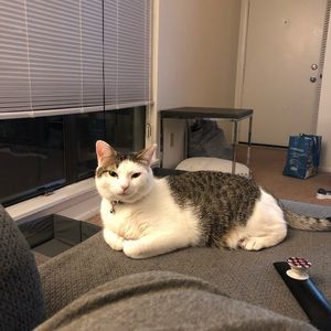 Meet your Posher, Molly